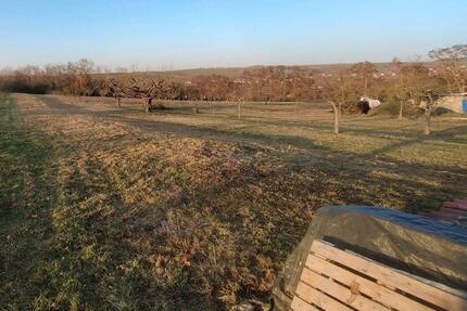Gartengrundstück Nähe Main und Volkach im OT Astheim zur Pacht