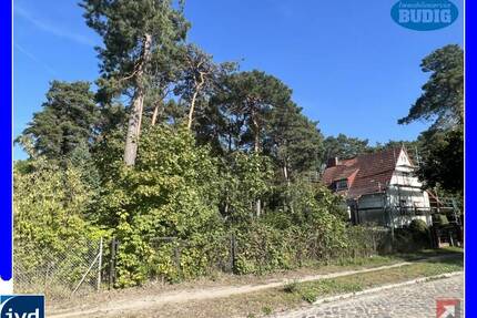 Bauträgerfreies Grundstück in grüner Umgebung - Zossen Dabendorf