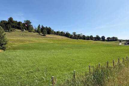 Grundstück zu verkaufen in Argenbühl 220.000,00 € 45679 m²