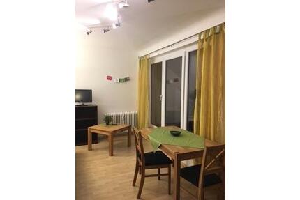 helle und gemütliche 1 Zimmer Wohnung (möbliert) in der Neustadt - Mainz
