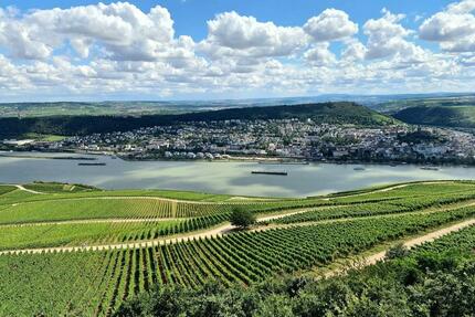Moderne 3- Zimmer Wohnung am Waldrand zu vermieten! - Rüdesheim am Rhein