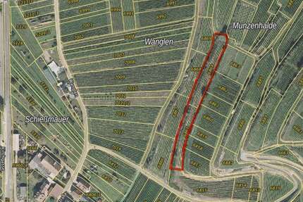 Grundstück zu verkaufen in Jechtingen 8.000,00 € 2881 m²