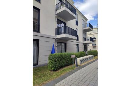 Traumhafte 2-Raumwohnung zur Miete in Potsdam Waldstadt 2 - Wentzel Dr. -