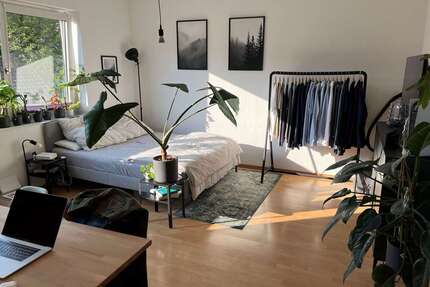 Wohnung zum Mieten in Essen 320,00 € 34.5 m²