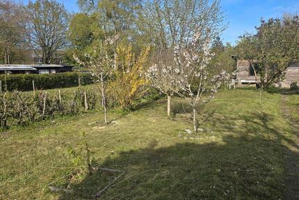 Schöner Kleingarten mit Gartenhaus abzugeben - Kronshagen