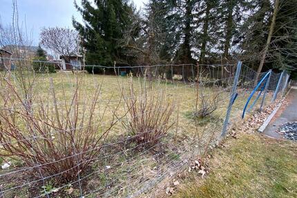 Verpachte Garten-Grundstück von Privat - Treuen