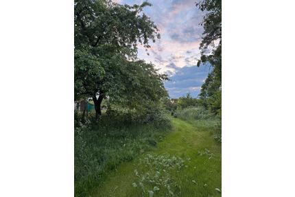 Freizeitgrundstück in Ottmarsheim 500 qm. Pacht 60 € mtl. - Besigheim