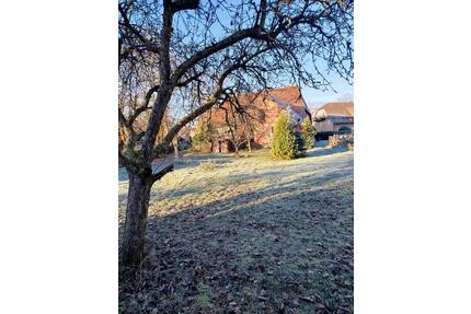 Altes Bauernhaus im denkmalgeschützten Ortskern von Edemissen