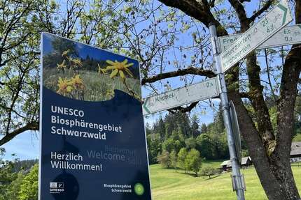 Haus zum Kaufen in Freiburg 950.000,00 € 150 m²