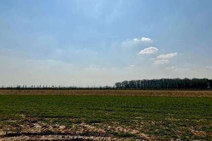 Grundstück zu verkaufen in Nörvenich 289.900,00 € 704 m²