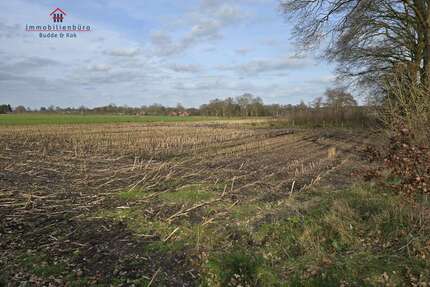 Grundstück in Friesoythe 77.450,00 € 7745 m²