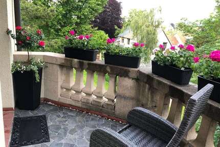 Wohnung zum Mieten in Meerane 700,00 € 120.73 m²