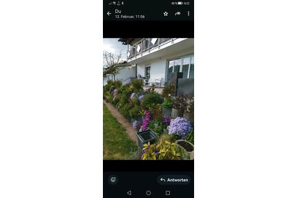 Mehrgenerationenhaus Vorankündigung 84032 Altdorf Pfettrach