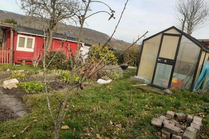 kleingarten KGV hoof - 2.500,00&nbsp;EUR Kaltmiete, ca.&nbsp; 0,00&nbsp;m&sup2; in Schauenburg (PLZ: 34270)