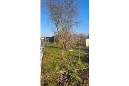 Schrebergarten abzugeben 