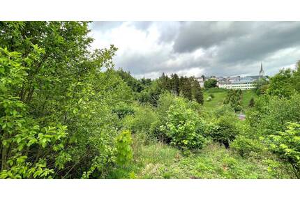 Tolles Grundstück ! - 29.000,00&nbsp;EUR Kaufpreis, ca.&nbsp; 0,00&nbsp;m&sup2; in Nordhalben (PLZ: 96365)