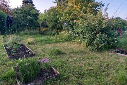 Pachtgarten in Schöndorf abzugeben - Weimar