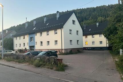 Haus zu verkaufen - 1.695.000,00&nbsp;EUR Kaufpreis, ca.&nbsp; 960,00&nbsp;m&sup2; in Calw (PLZ: 75365)