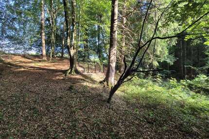 Grundstück in Hadorf 63.900,00 € 6720 m²