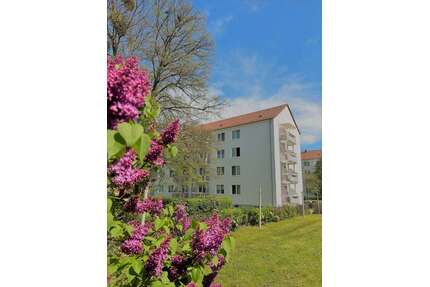 Wohnung zum Mieten in Wurzen 400,00 € 60.45 m²