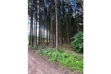 Grundstück in Blankenheim 15.000,00 € 7500 m²