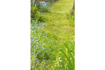 Garten zur Miete Grünau Köpenick Regattastrecke Pachtgarten - Berlin Treptow-Köpenick