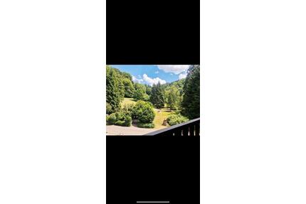 Wohnung zu vermieten - 570,00&nbsp;EUR Kaltmiete, ca.&nbsp; 33,00&nbsp;m&sup2; in Sasbachwalden (PLZ: 77887)