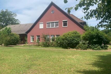 Resthof Pferdehaltung Gutshaus auf 8600 m2 - Bad Bevensen