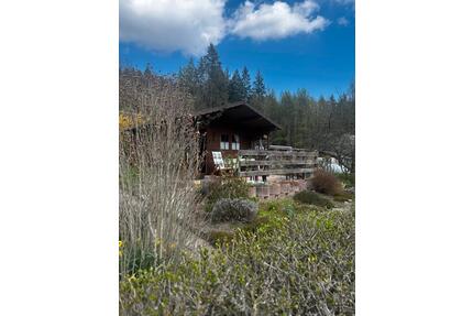 Kleingarten im KGV Frohe Zukunft e.V. Freital