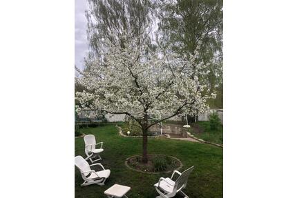 Doppelhaushälfte Hannover-Misburg (Erbpachtgrundstück)