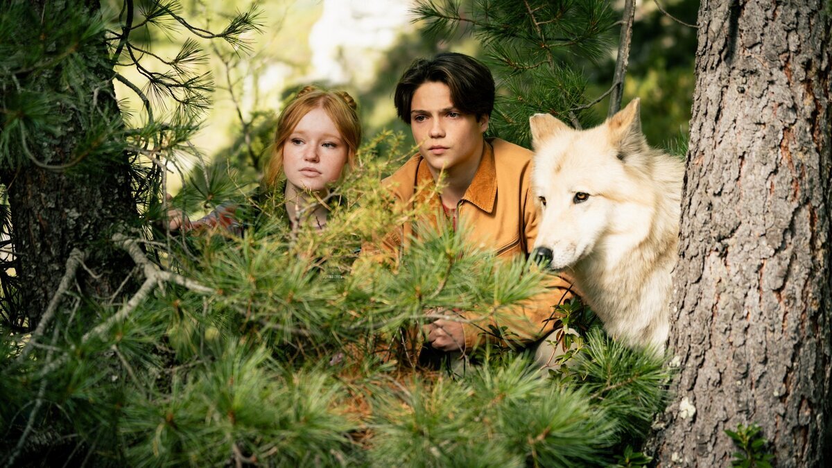 Woodwalkers 2