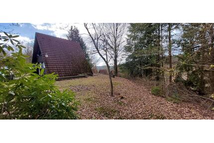 Nurdachhaus - großes Grundstück am Wald - Ferienpark Machtlos - Heringen (Werra)