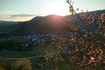 Mietwohnung in Mayschoß - 500,00&nbsp;EUR Kaltmiete, ca.&nbsp; 55,00&nbsp;m&sup2; in Bad Neuenahr-Ahrweiler (PLZ: 53474)