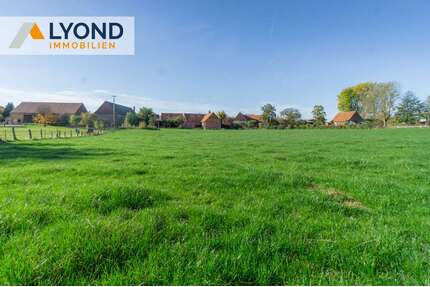 Haus zum Kaufen in Diemelstadt Dehausen 310.000,00 € 342.5 m² - Diemelstadt / Dehausen