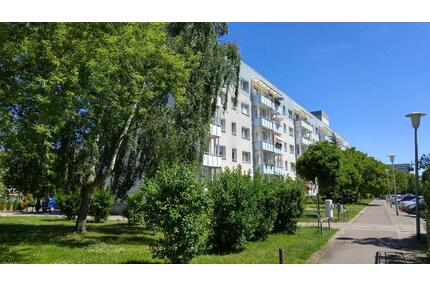 2-RAUM WOHNUNG IN NEUBRANDENBURG ZU VERMIETEN