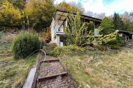 Ihr Rückzugsort im Grünen: Kleingarten mit Eigentumsgrundstück - Lippersdorf-Erdmannsdorf