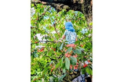 Raus ins Grüne, ab an den See: Kleingarten in Cottbus