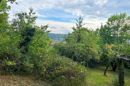 Gartengrundstück in Toplage von Esslingen - Wittumweinberge oberhalb der Burg - Esslingen am Neckar Hohenkreuz