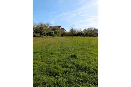 Sonniges Wiesengrundstück mit Obstbäumen in Biebertal-Vetzberg