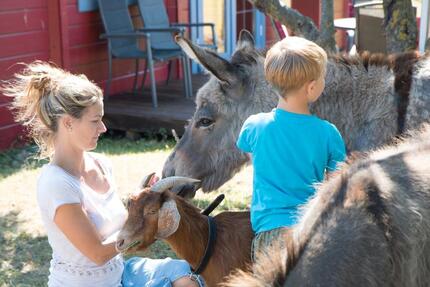 Familienferien im Blockbohlenhaus – Entdecken Sie die Ostsee mit - Lubmin