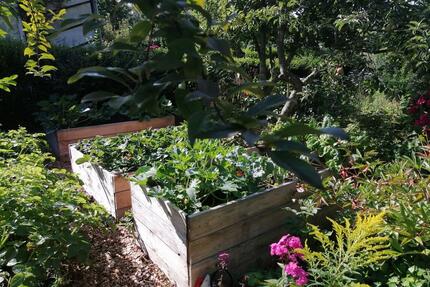Garten mit Häuschen nahe bei Ostsee und Bodden - Sagard