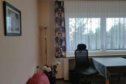 FEWO am Stadtpark * grün, ruhig, zentral, Nichtraucher - Remscheid