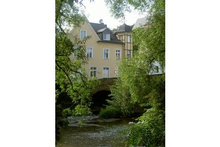 Renovierte, helle 2-Zimmer Wohnung zentral am Schloss - Hadamar