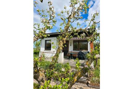 Kleingarten in Greifswald Friedrichshagen