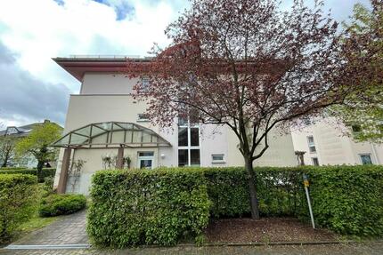 Ihre Traumwohnung in Dresden Loschwitz!