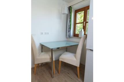 1,5 Zi. Apartment, möbliert, hell - Seefeld