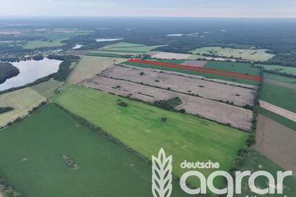 Grundstück in Feldberger Seenlandschaft Rosenhof 120.000,00 € 66185 m² - Feldberger Seenlandschaft / Rosenhof