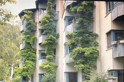 Wohnung Apartment Kapitalanlage | 530 € Einnahmen provisionsfrei - Riedstadt