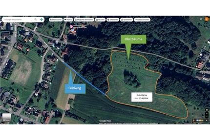 Heuwiese Grünland Wiese Pachtwiese - Detmold Hakedahl