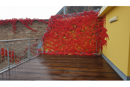 Wohnung zum Kaufen in Berlin 509.000,00 € 91 m²